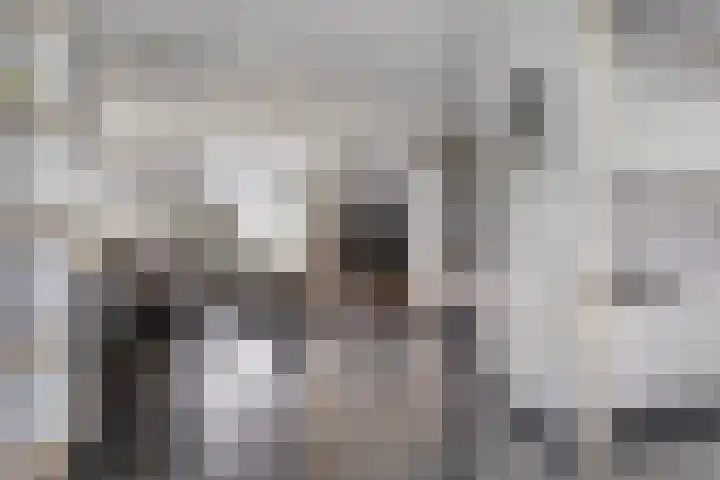 Ereprijs 1 Luyksgestel thumbnail 9