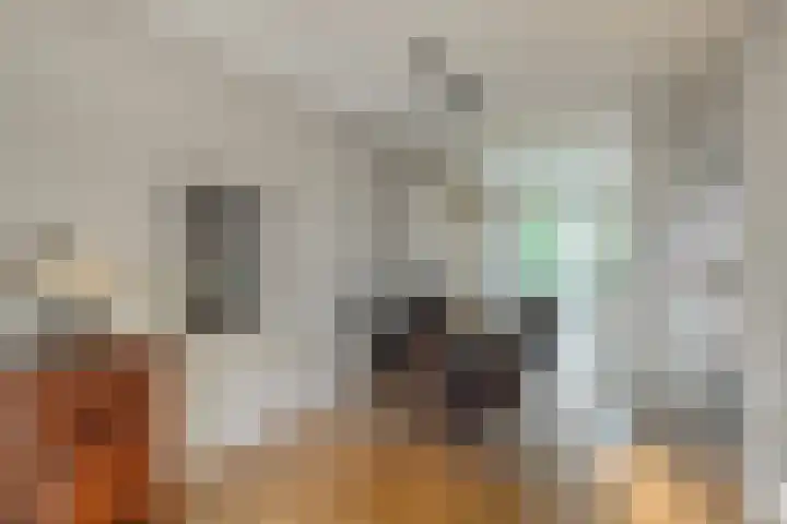 Ereprijs 10 Heino thumbnail 12