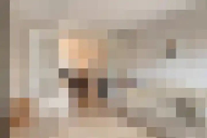 Ereprijs 10 Heino thumbnail 17