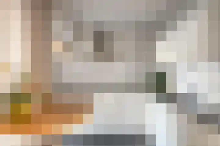Ereprijs 10 Heino thumbnail 18