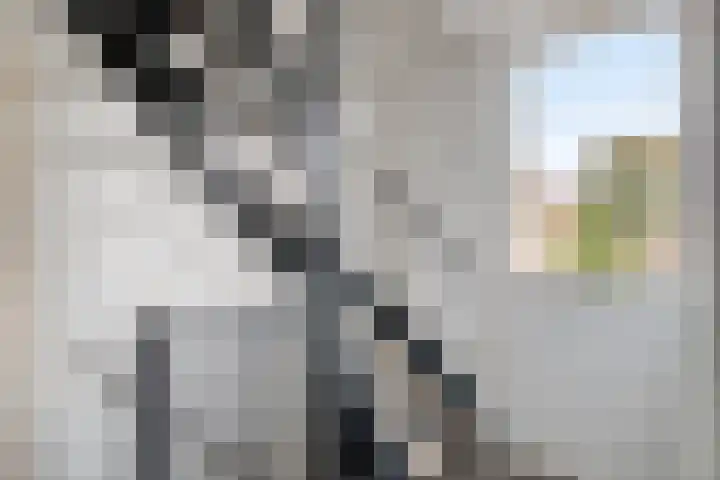 Ereprijs 10 Heino thumbnail 21