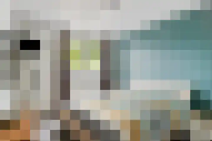 Ereprijs 10 Heino thumbnail 23