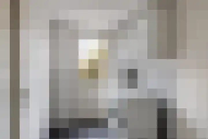 Ereprijs 10 Heino thumbnail 37