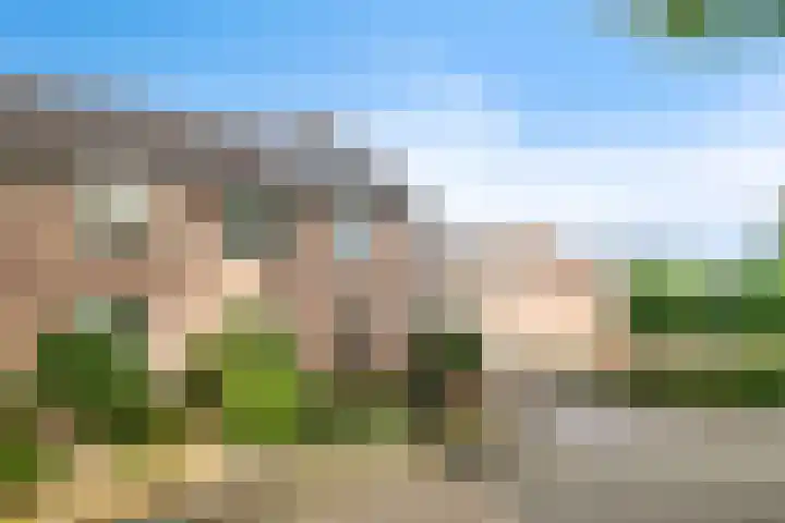 Ereprijs 10 Heino thumbnail 4
