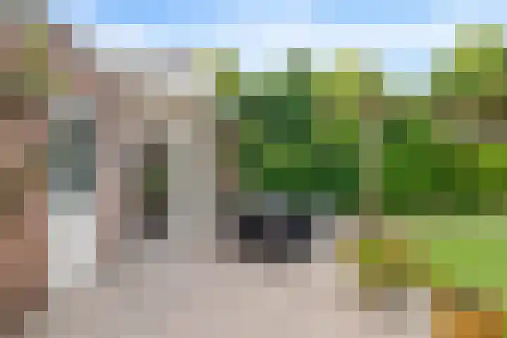 Ereprijs 10 Heino thumbnail 40