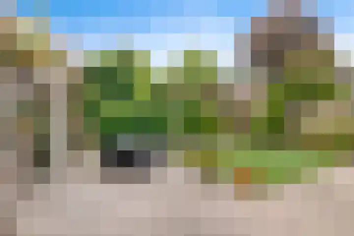 Ereprijs 10 Heino thumbnail 41