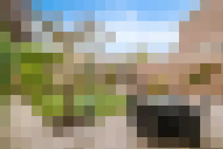 Ereprijs 10 Heino thumbnail 42