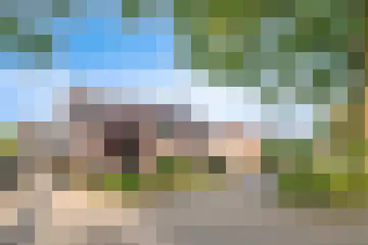 Ereprijs 10 Heino thumbnail 45