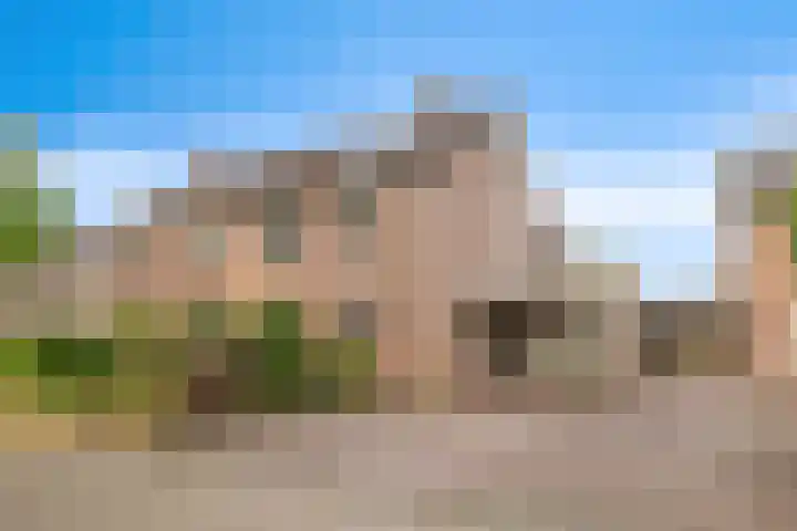 Ereprijs 10 Heino thumbnail 48