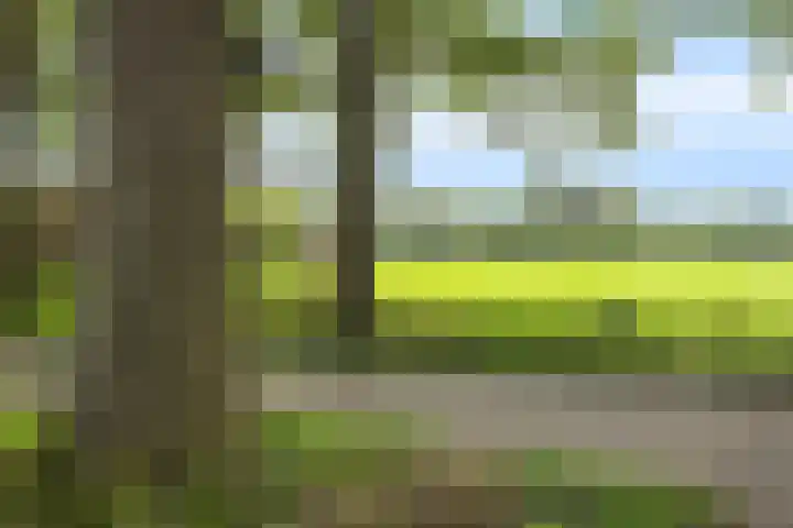 Ereprijs 10 Heino thumbnail 49