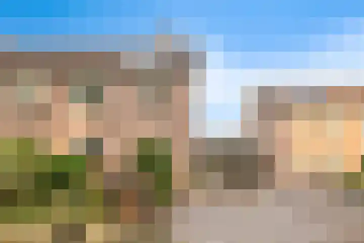 Ereprijs 10 Heino thumbnail 5