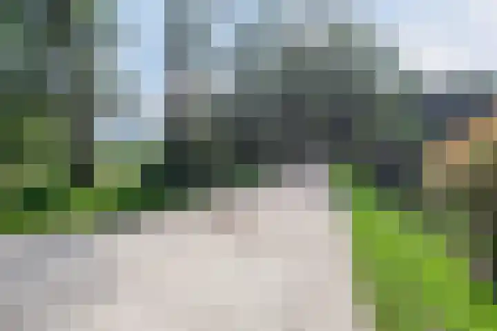 Ereprijs 10 Heino thumbnail 50
