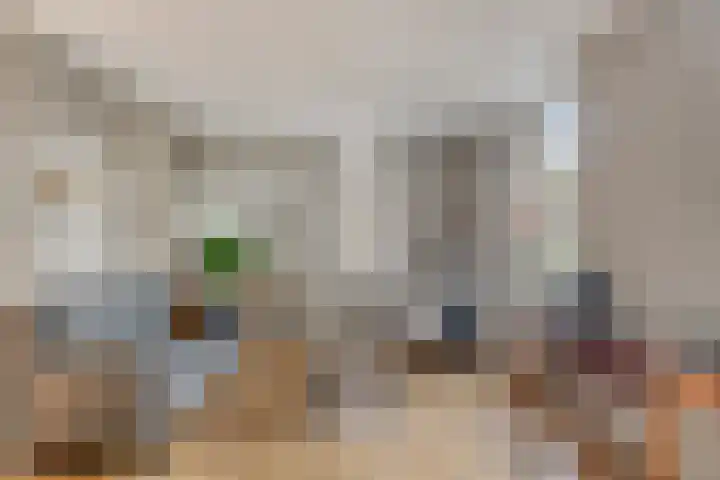 Ereprijs 10 Heino thumbnail 8