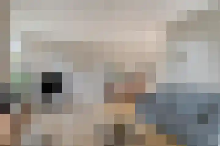 Ereprijs 10 Heino thumbnail 9