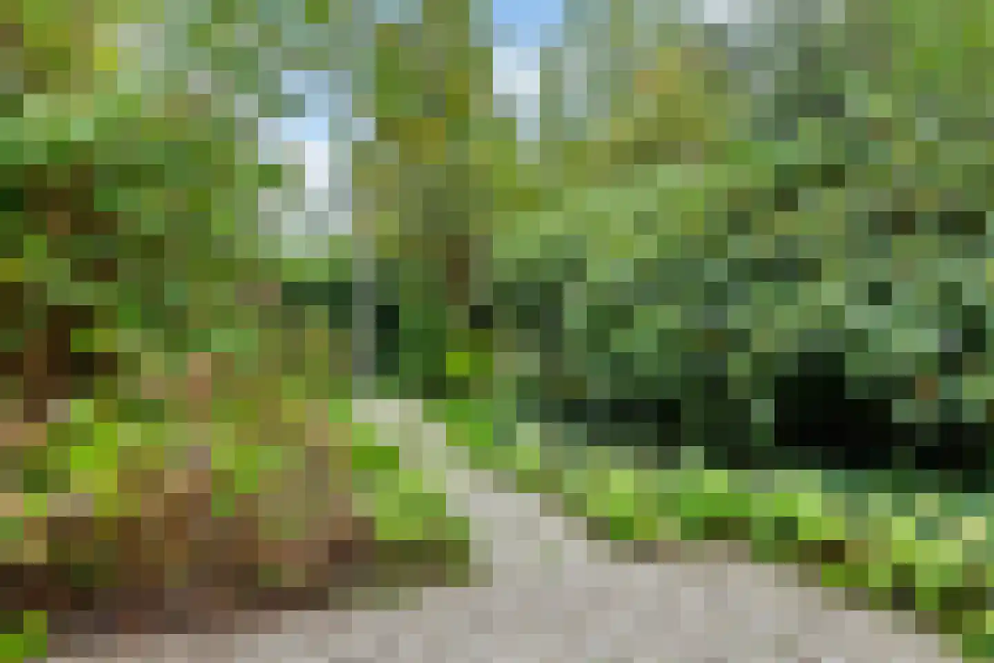 Ereprijs 109 Leeuwarden thumbnail 12