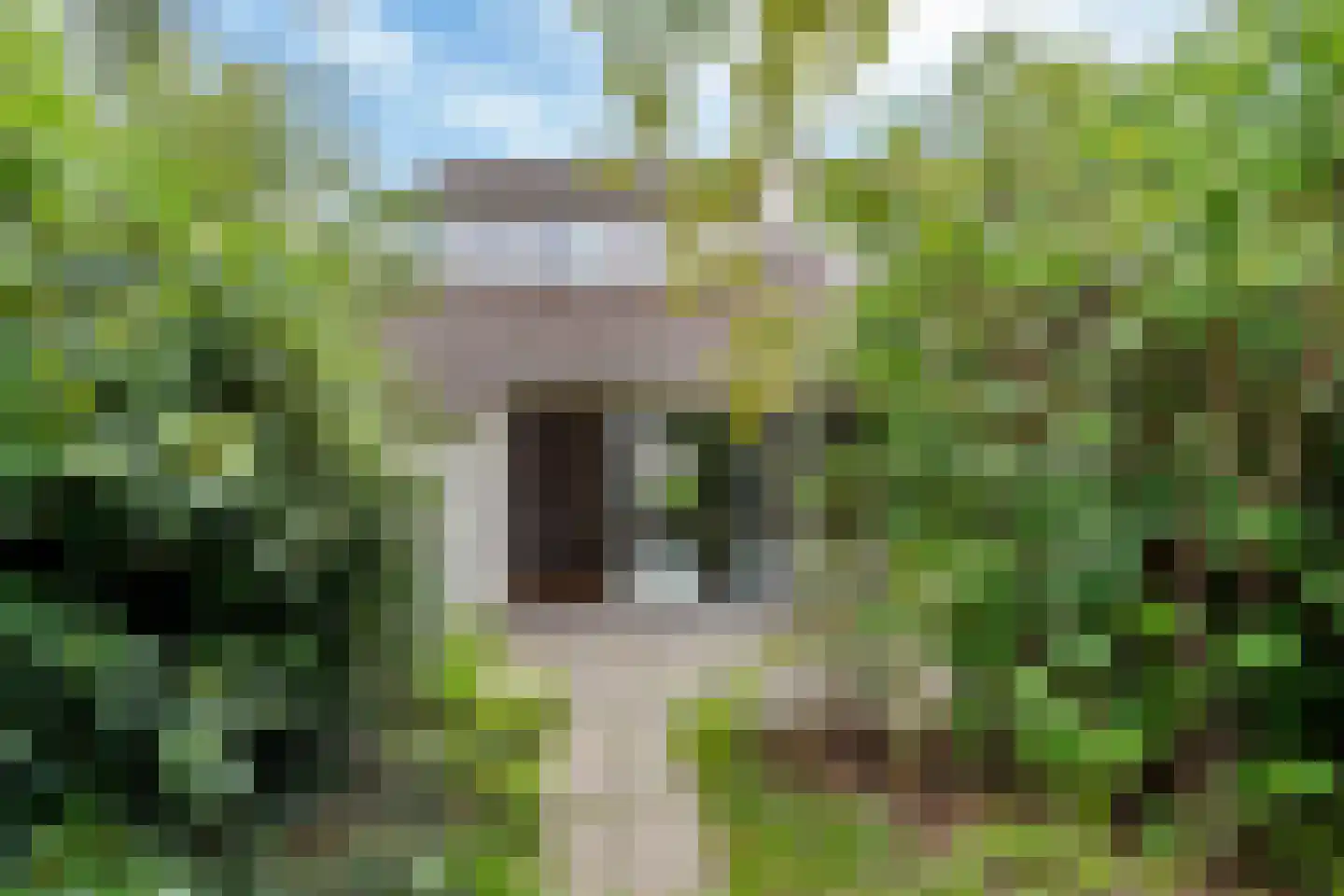 Ereprijs 109 Leeuwarden thumbnail 14