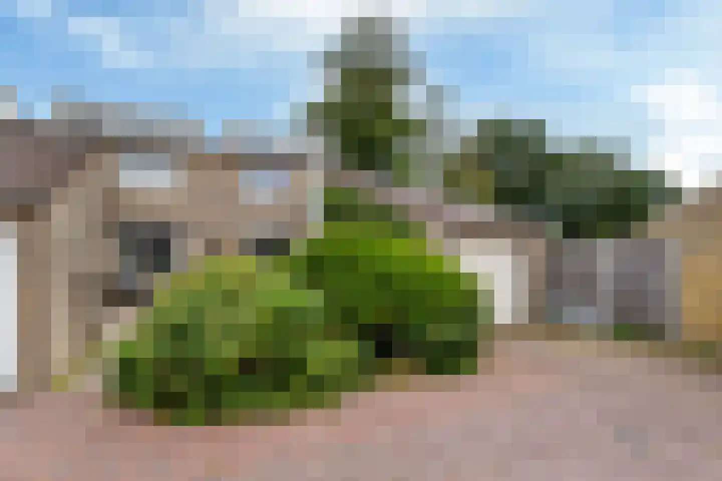 Ereprijs 109 Leeuwarden thumbnail 38
