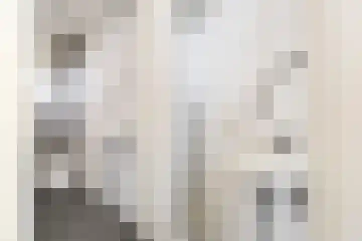 Ereprijs 11 Krimpen aan den IJssel thumbnail 13