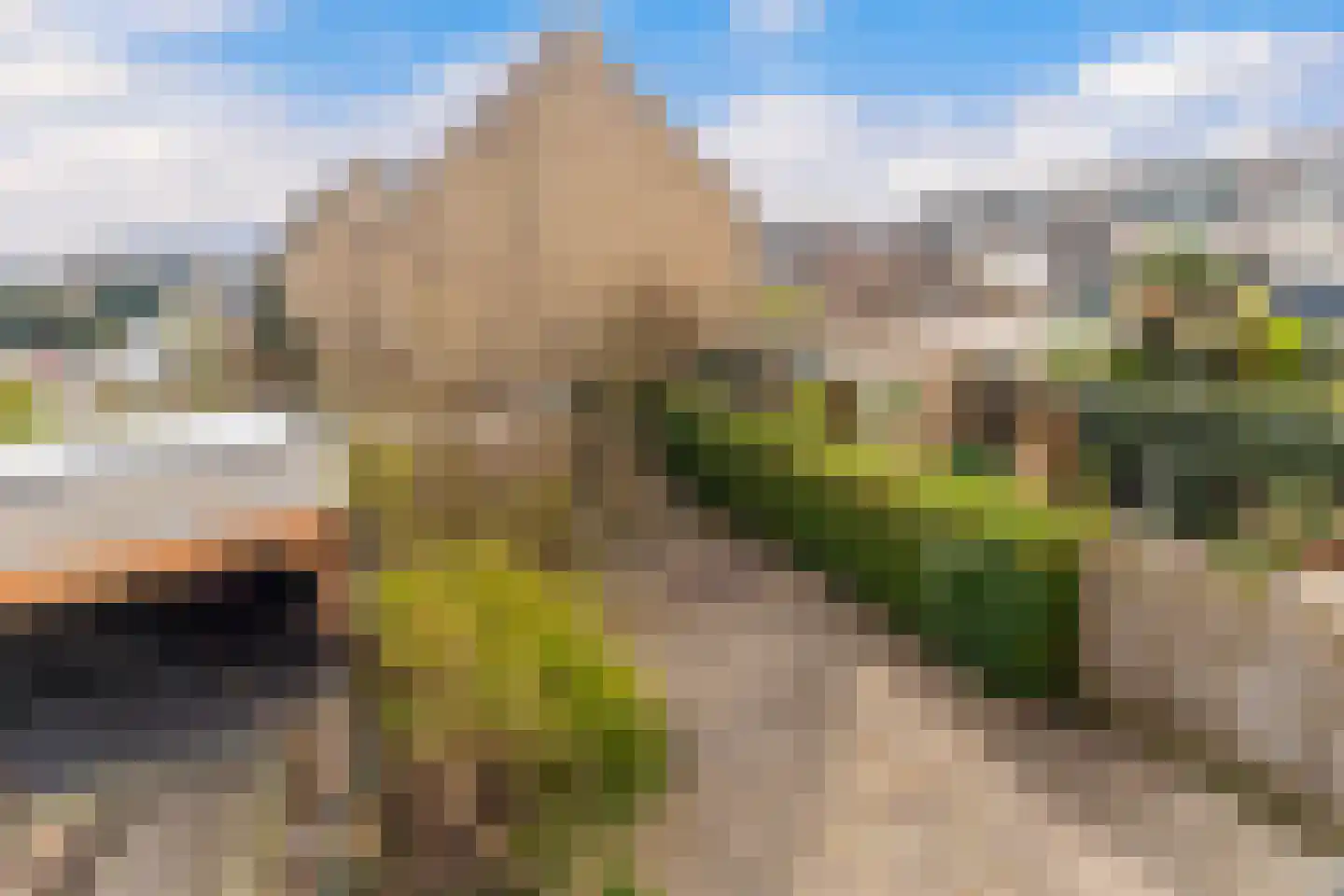 Ereprijs 11 Krimpen aan den IJssel thumbnail 19
