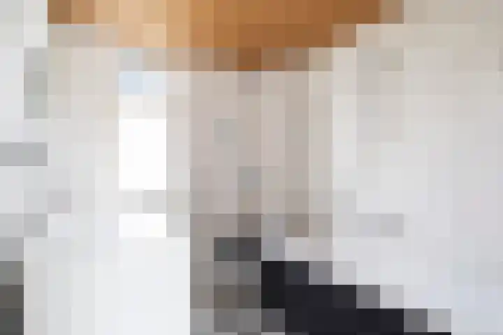 Ereprijs 11 Krimpen aan den IJssel thumbnail 23