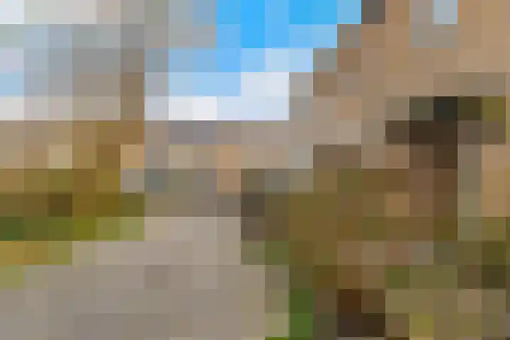 Ereprijs 11 Krimpen aan den IJssel thumbnail 32