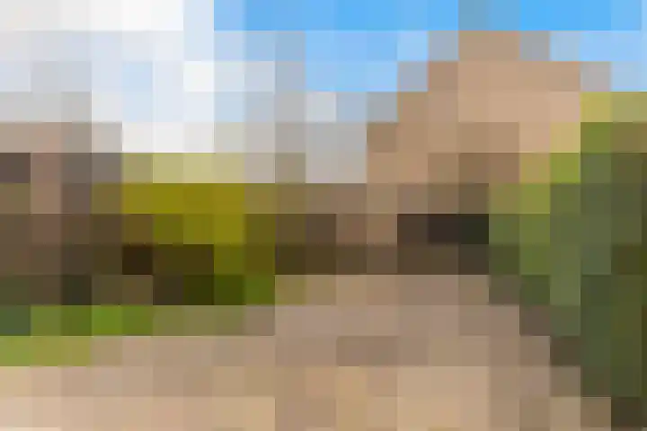 Ereprijs 11 Krimpen aan den IJssel thumbnail 33