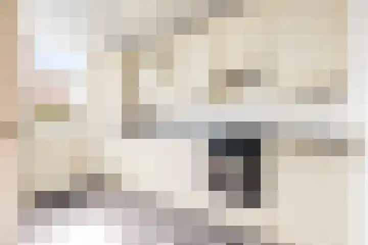 Ereprijs 11 Krimpen aan den IJssel thumbnail 4