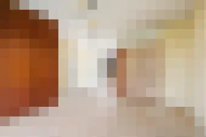 Ereprijs 11 Krimpen aan den IJssel thumbnail 6
