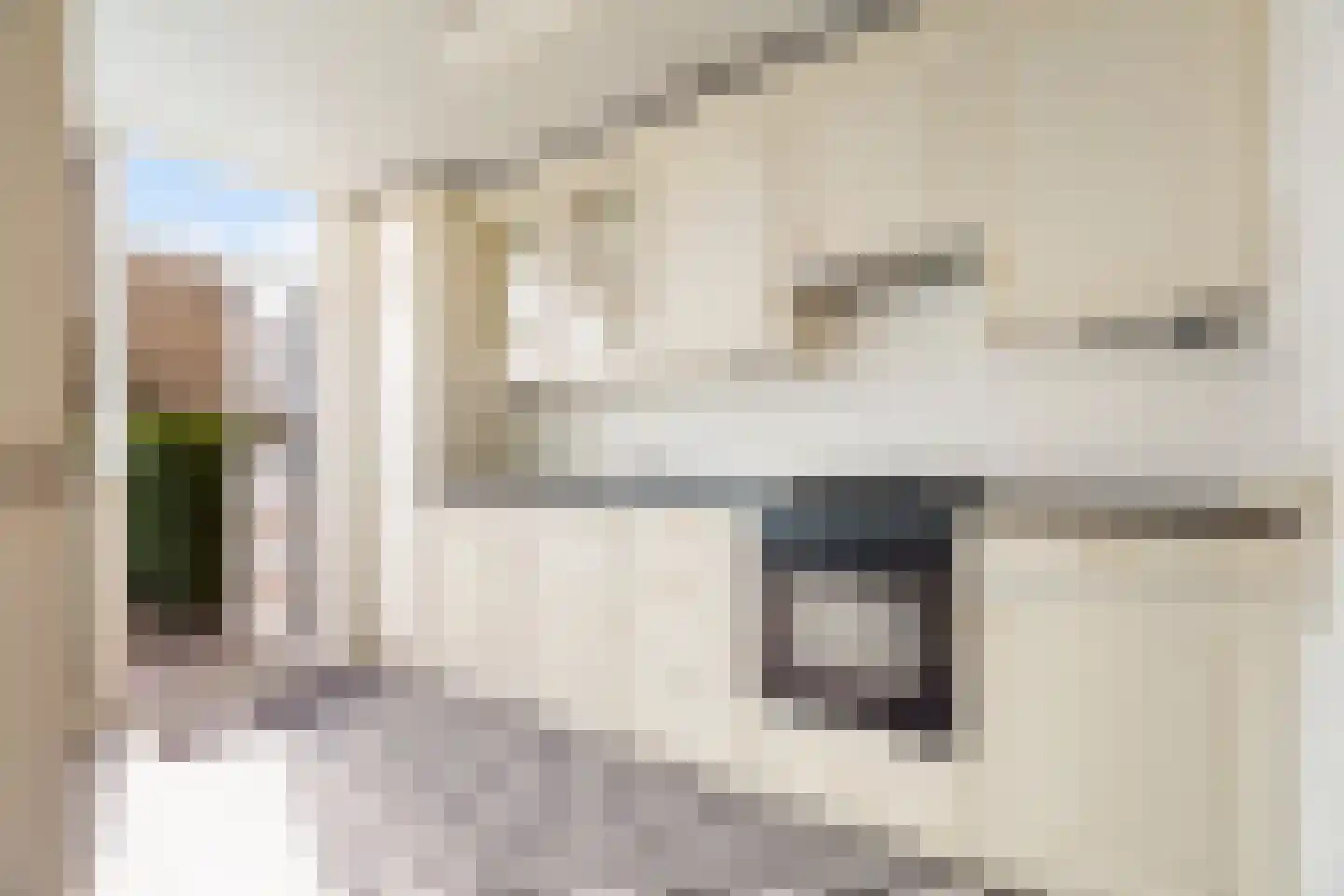 Ereprijs 11 Krimpen aan den IJssel thumbnail 9