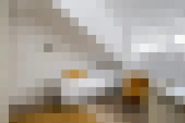 Ereprijs 111 Leeuwarden thumbnail 31