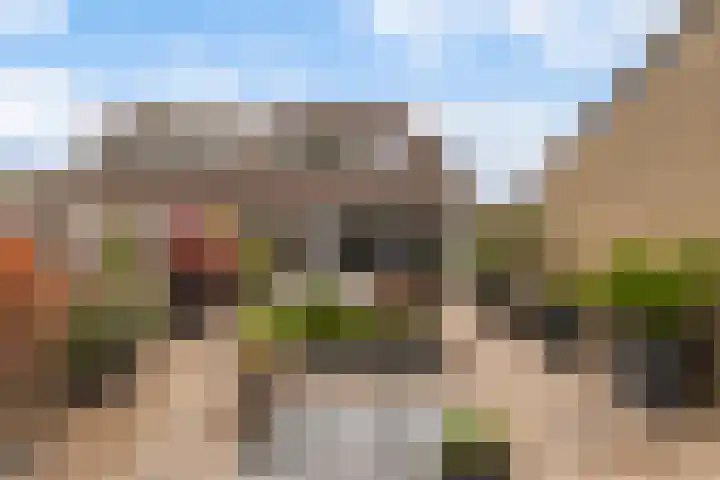 Ereprijs 111 Leeuwarden thumbnail 39