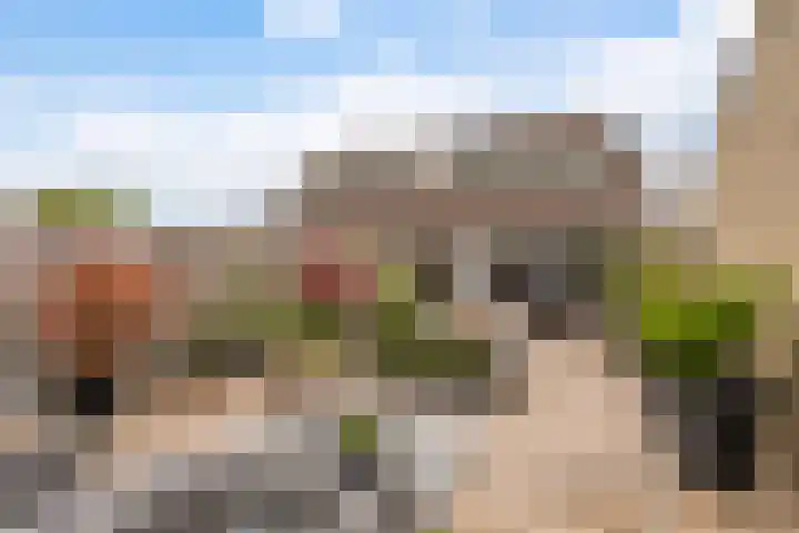Ereprijs 111 Leeuwarden thumbnail 41
