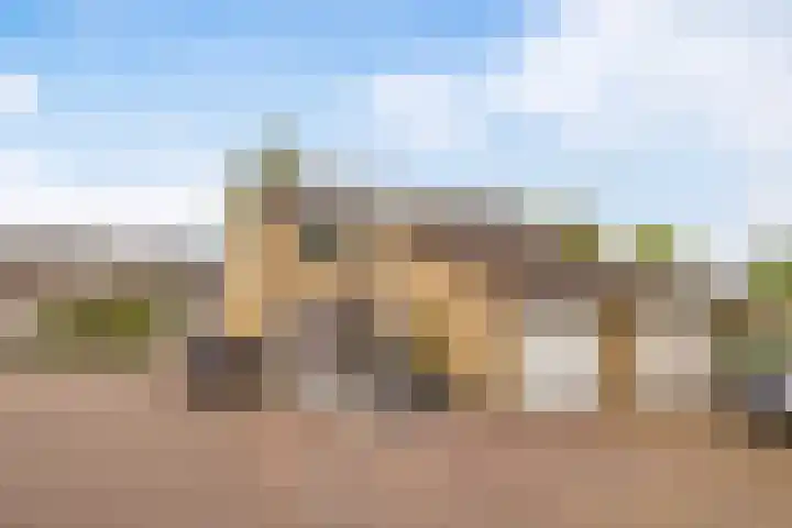Ereprijs 111 Leeuwarden thumbnail 5