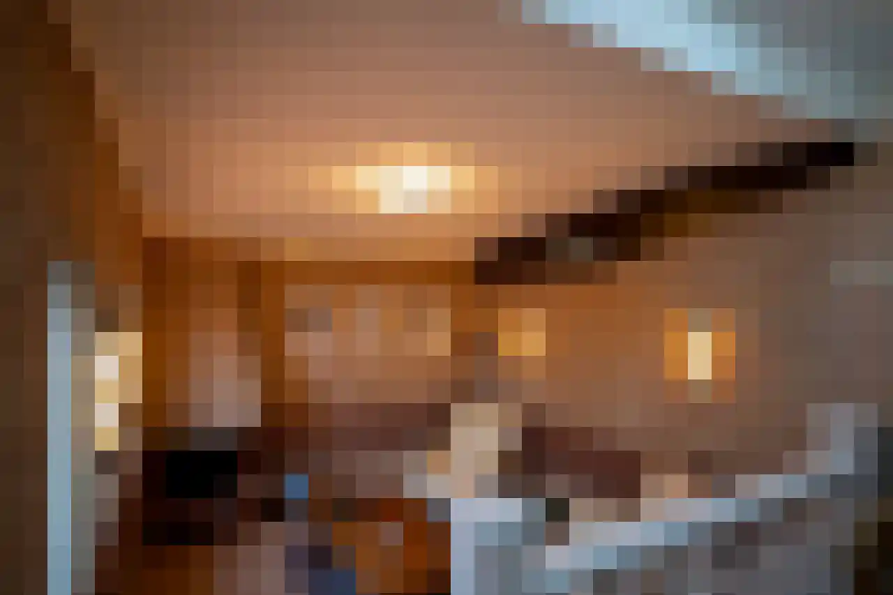 Ereprijs 12 Julianadorp thumbnail 15