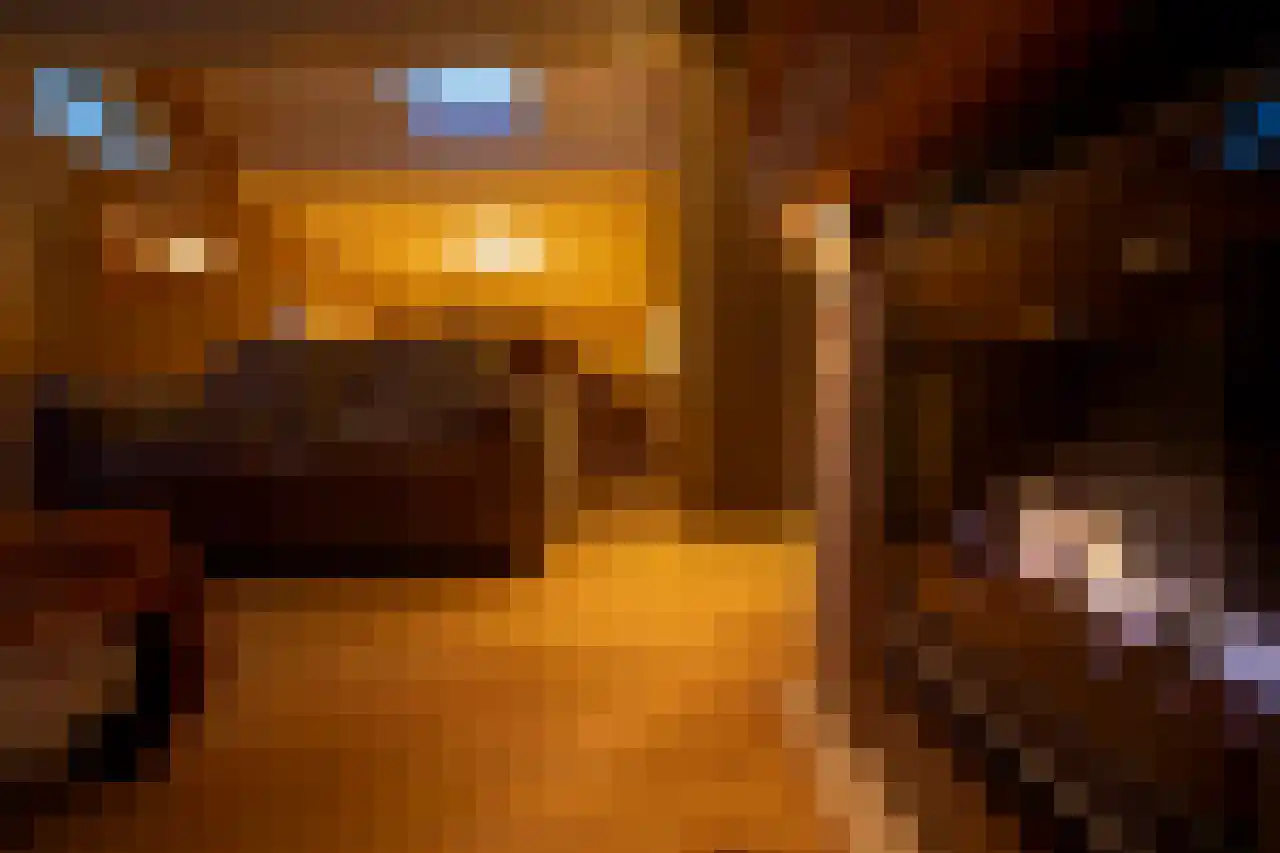Ereprijs 12 Julianadorp thumbnail 20