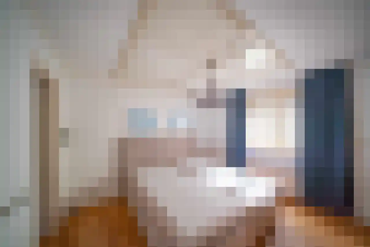 Ereprijs 12 Julianadorp thumbnail 34