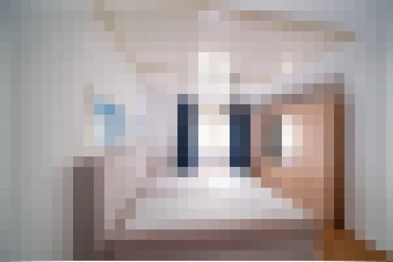 Ereprijs 12 Julianadorp thumbnail 35
