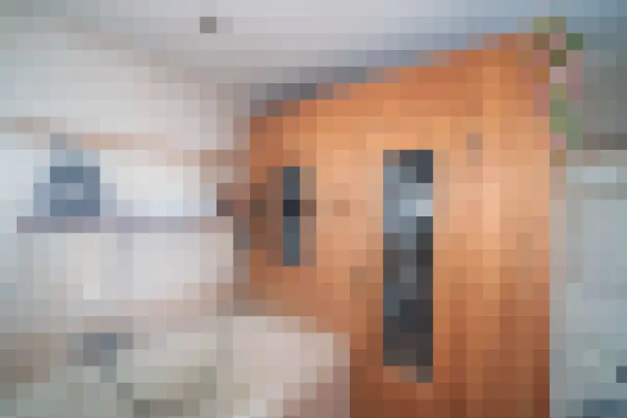 Ereprijs 12 Julianadorp thumbnail 37