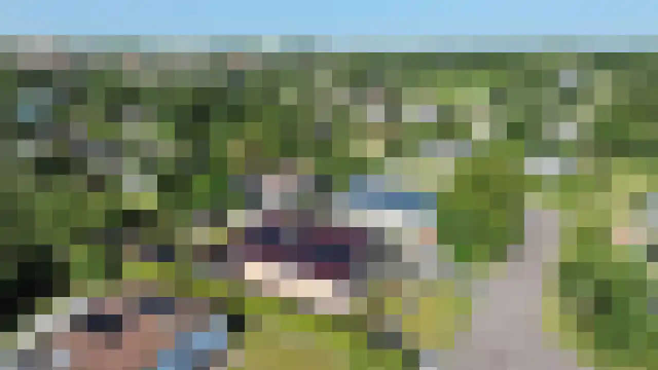 Ereprijs 12 Julianadorp thumbnail 4