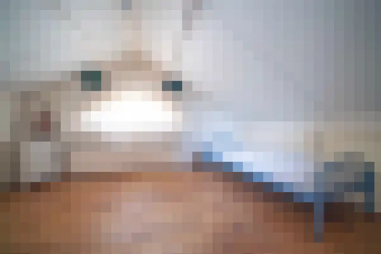 Ereprijs 12 Julianadorp thumbnail 43