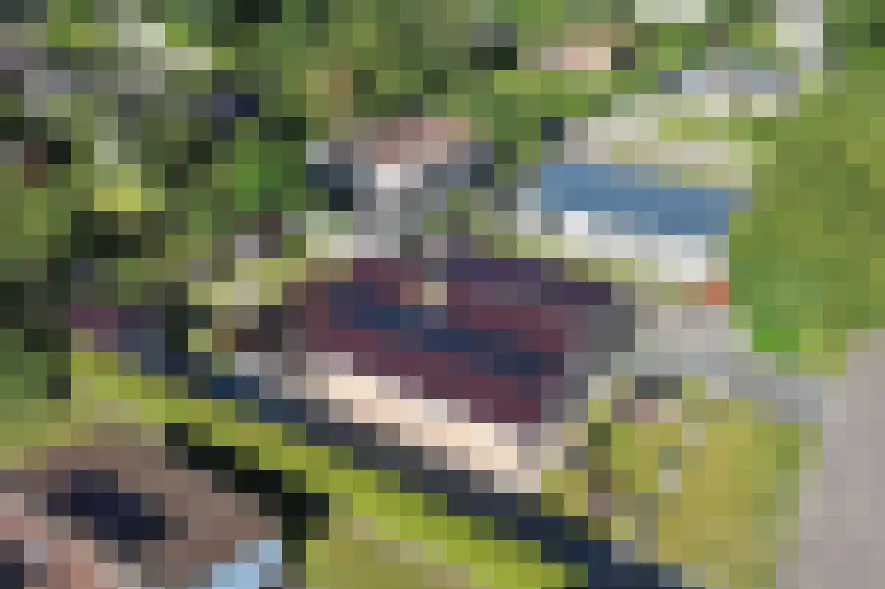 Ereprijs 12 Julianadorp thumbnail 5