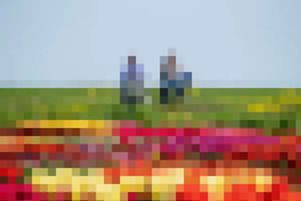 Ereprijs 12 Julianadorp thumbnail 65