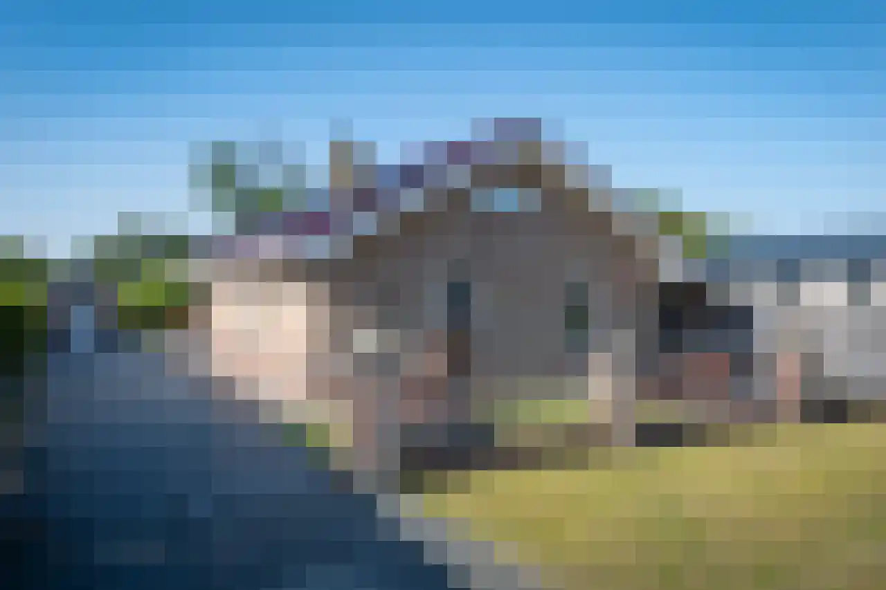 Ereprijs 12 Julianadorp thumbnail 7