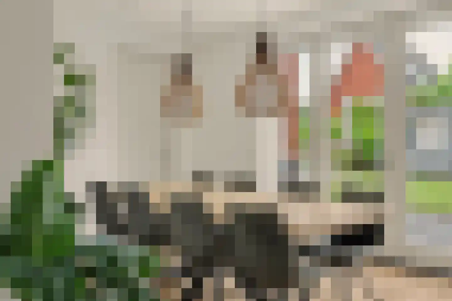 Ereprijs 12 Vlijmen thumbnail 12