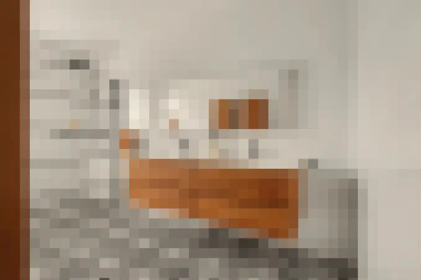 Ereprijs 12 Vlijmen thumbnail 17