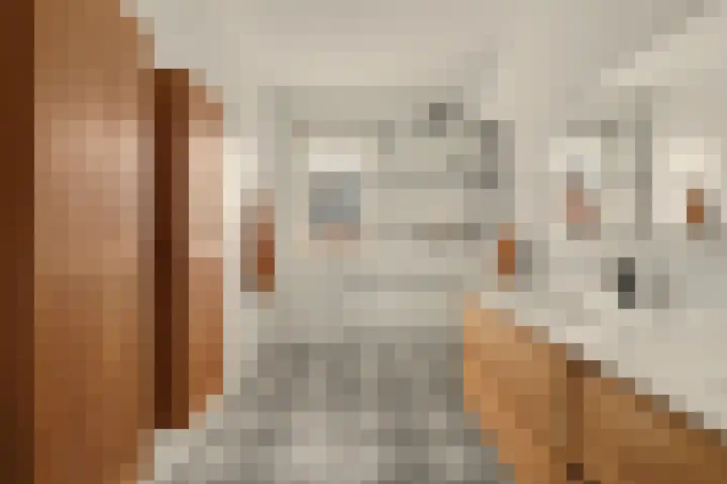 Ereprijs 12 Vlijmen thumbnail 18