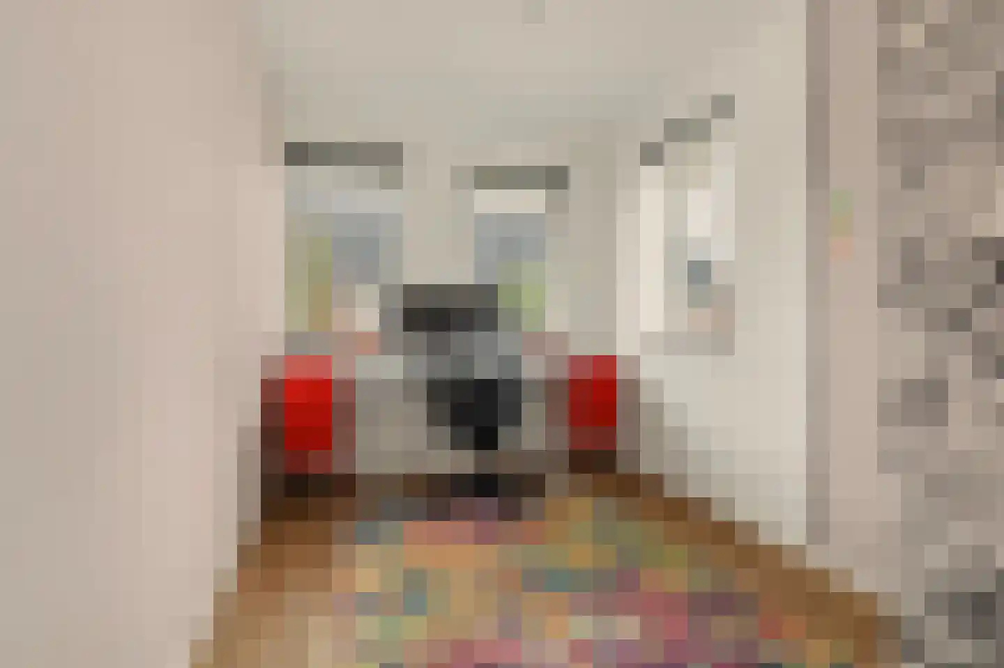 Ereprijs 12 Vlijmen thumbnail 20