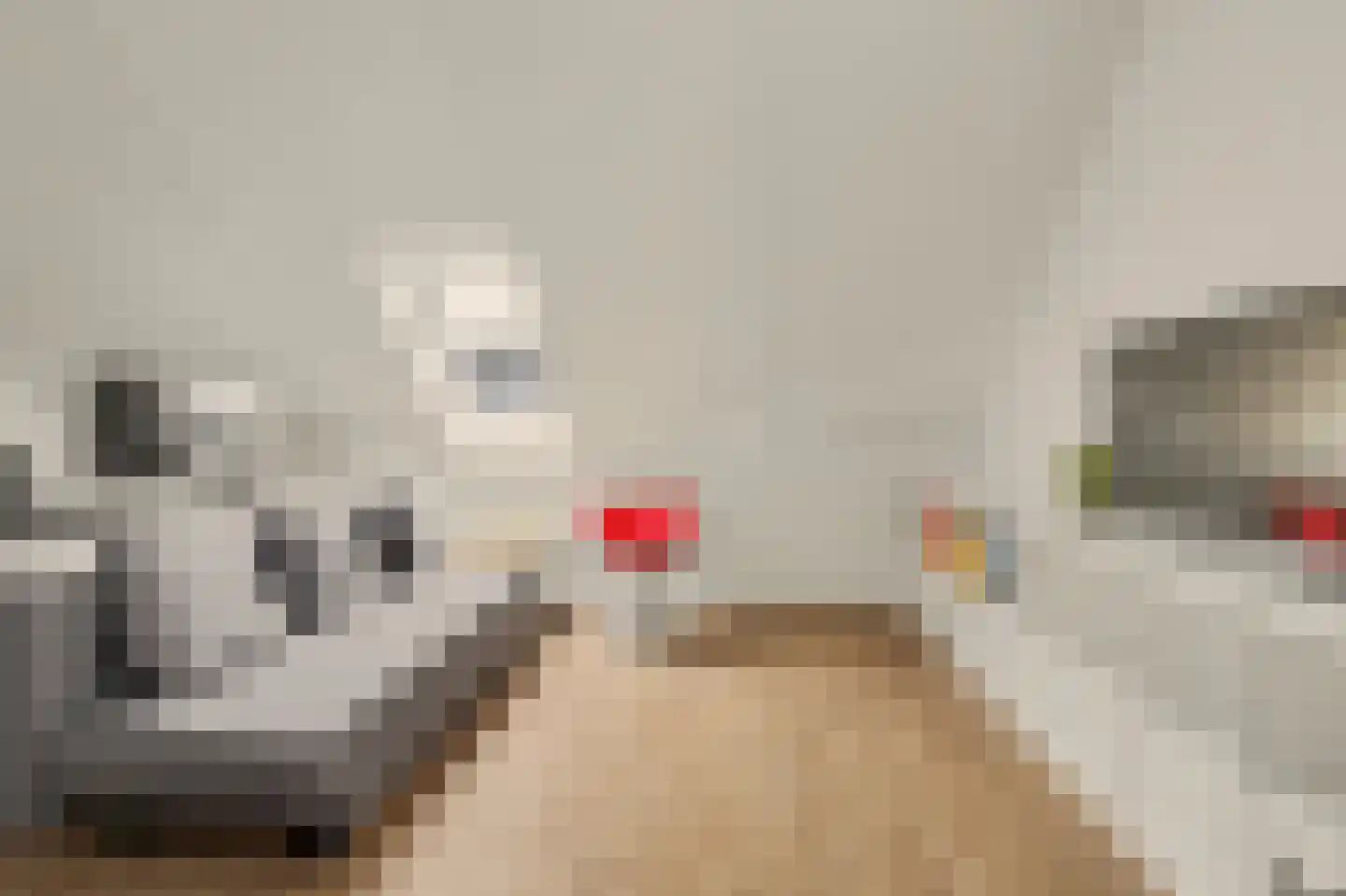 Ereprijs 12 Vlijmen thumbnail 26