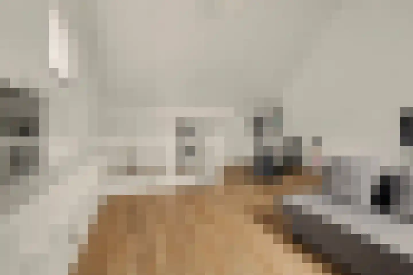 Ereprijs 12 Vlijmen thumbnail 27