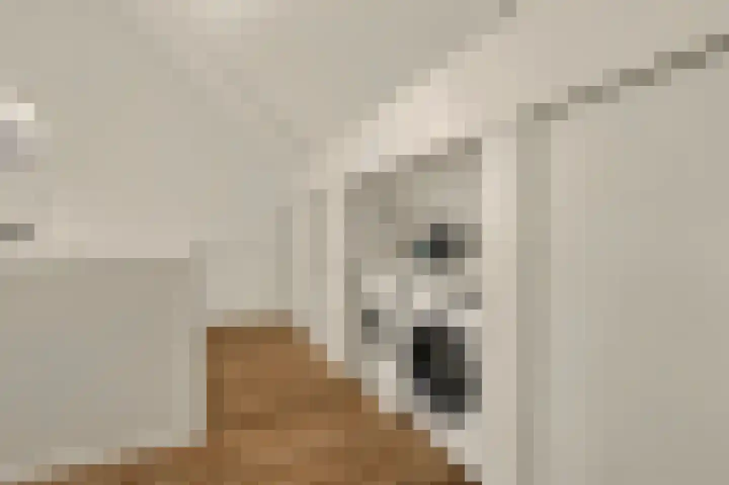 Ereprijs 12 Vlijmen thumbnail 28